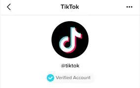 How do you get verified on TikTok? - Teilo